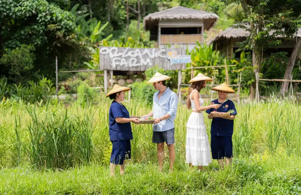 พาส่องกิจกรรมท่องเที่ยวเชิงอนุรักษ์ ที่เกาะยาวน้อย 1 กิจกรรมท่องเที่ยวเชิงอนุรักษ์