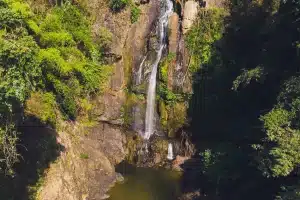 อุทยานแห่งชาติศรีพังงา เส้นทางศึกษาธรรมชาติที่สมบูรณ์