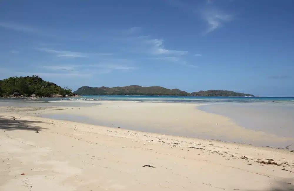 ชมน้ำทะเลสีฟ้าเขียวที่หาดป่าทราย 1 หาดป่าทรายอยู่ที่ไหน