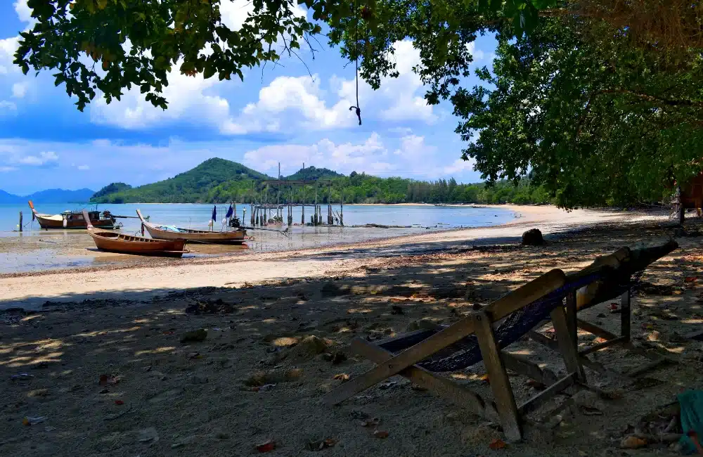 หาดป่าทราย