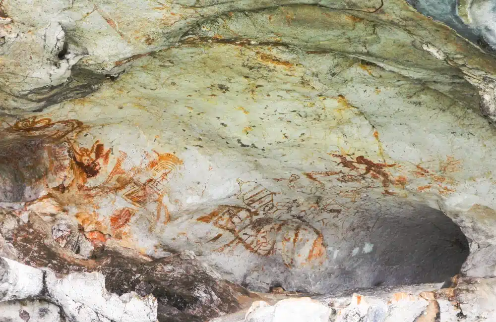 ชมธรรมชาติแห่งเกาะป่ากลางทะเลที่ อุทยานแห่งชาติอ่าวพังงา 5 4.เขาเขียน
