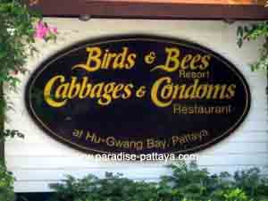 cabbages and condoms restaurant in Pattaya