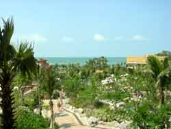 centara grand mirage beach resort pattaya