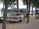 dongtan beach windsurfing