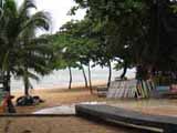 jomtien beach via palm trees