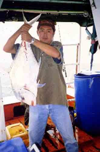 fishing in pattaya images pampano spearfish jackfish