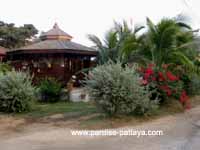 pattaya accomodation bungalows