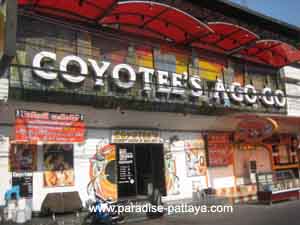 pattaya nightlife coyotees