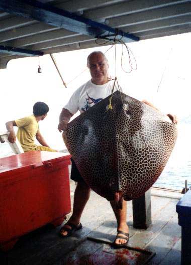 fishing in pattaya images rays