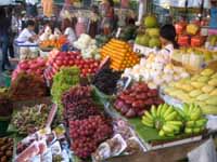 retire in thailand to fresh fruits